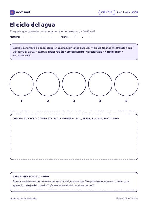El ciclo del agua para colorear