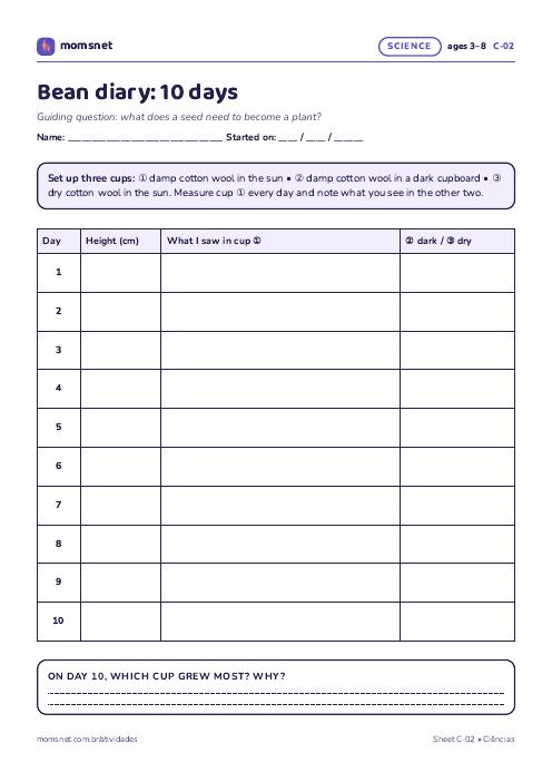 Bean sprout 10-day diary