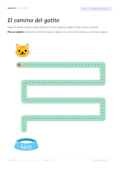 El camino del gatito
