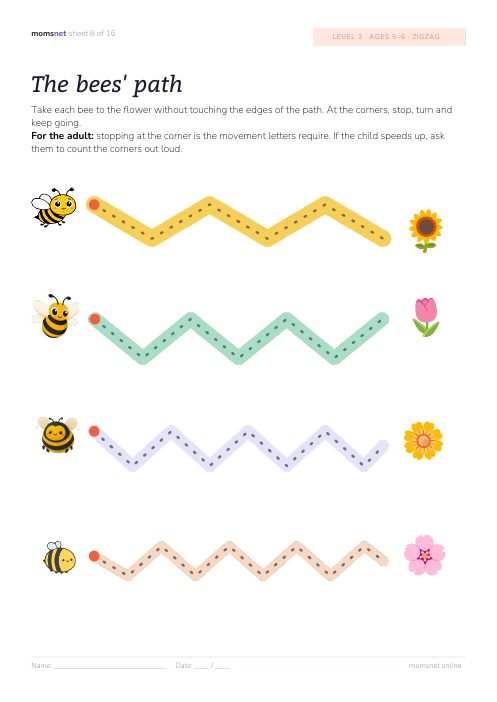 The bees’ path